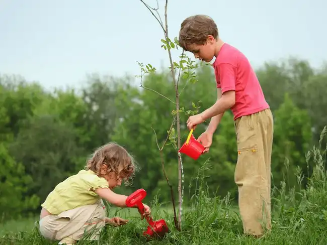 Conciencia Ecologica
